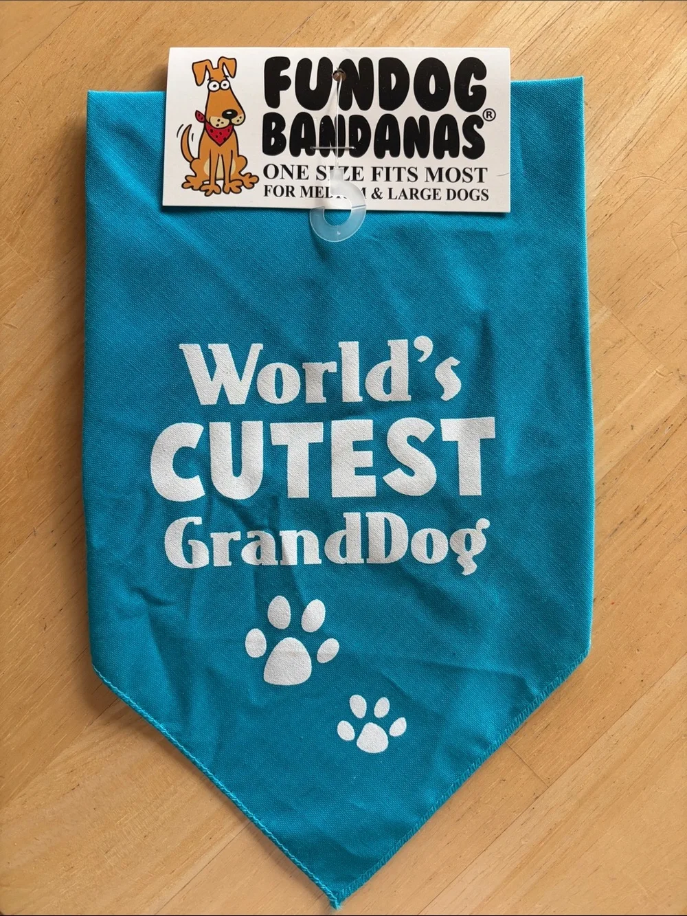 FUNdog Teal 